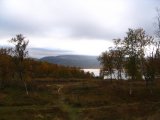 Fjelds 7