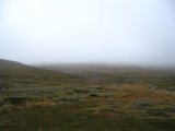 Mist 1