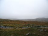 Mist 2