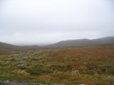 Mist 3