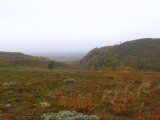 Mist 4