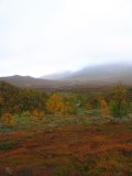 Mist 5