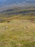 Stones 1