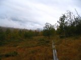 Trail 2