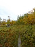 Trail 3
