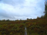 Trail 4