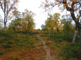 Trail 1