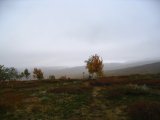 Trail 2