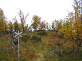 Trail 3