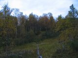 Trail 2