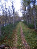 Trail 4