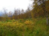 Trail 6