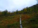Trail 1
