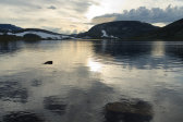 Evening 2