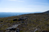 Fjelds 2