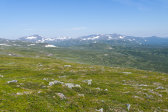 Fjelds 4