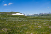 Fjelds 5