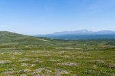 Fjelds 6
