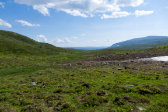 Fjelds 8