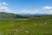Fjelds 9