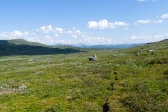 Path 1