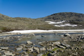Stream 6