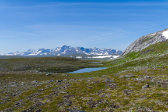 Tarns 1