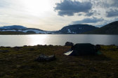 Tent 7