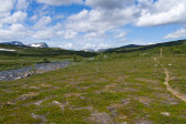 Trail 3