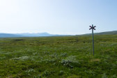Trail 1