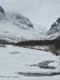Dogsleds 1