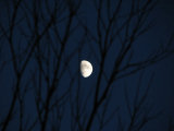 Moon 3