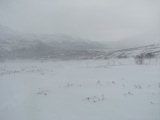 Snow 7