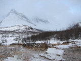 Snow 8