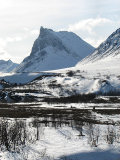 Snowmobiles 1