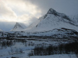 View 10