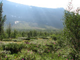 Campsites 4