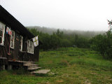 Fog 1