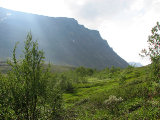 Path 3