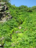 Ravine 4
