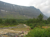 Stream 6