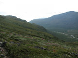 Fjelds 1