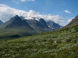 Fjelds 4
