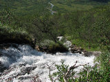 Stream 1