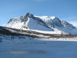 Fjelds 1