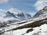 Fjelds 1