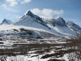 Fjelds 2