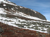 Rocks 1