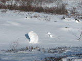 Snow 1