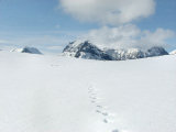 Tracks 2